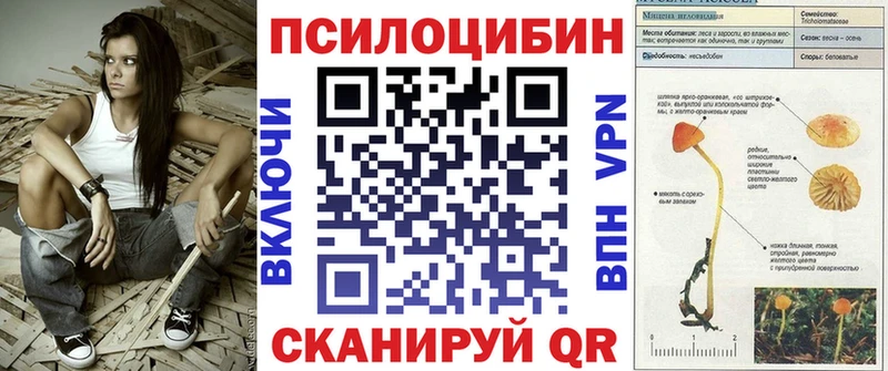 Галлюциногенные грибы Psilocybine cubensis  МЕГА ССЫЛКА  Кинешма  цены наркотик 